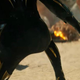 Image for article titled Black Panther: Wakanda Forever Centering Its Grief Makes Perfect Sense